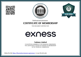Comprehensive Guide to Exness Forex Trading Broker